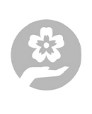 Logo Sakura